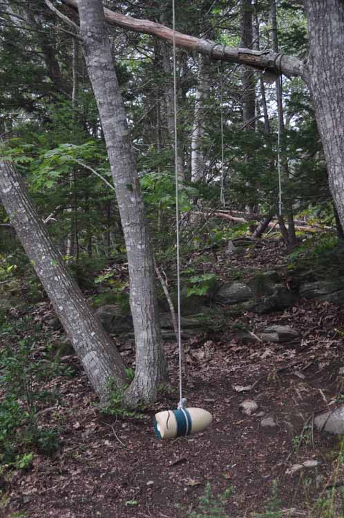buoy swing from tree